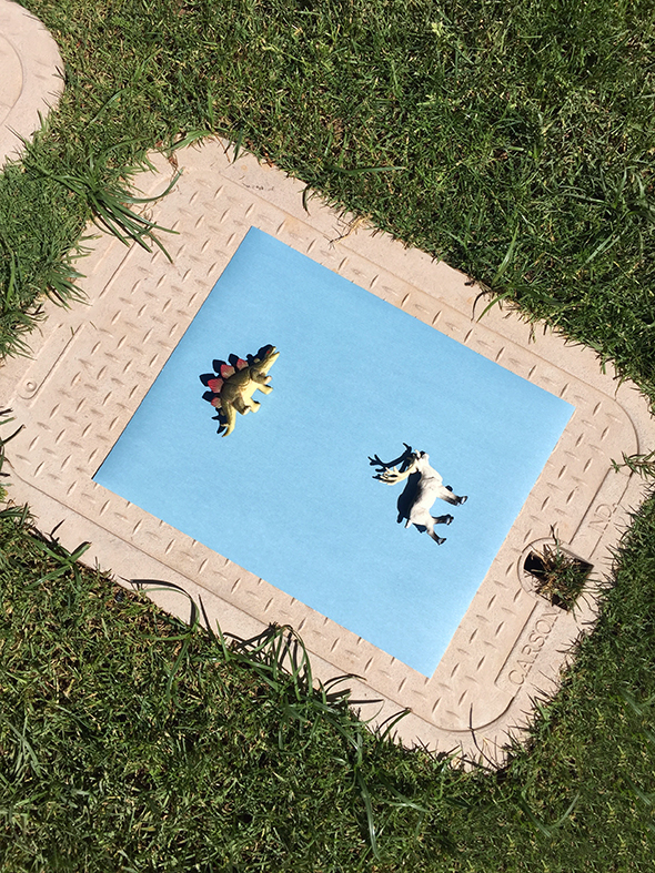 DIY Cyanotype Sun Prints - Jenny Komenda